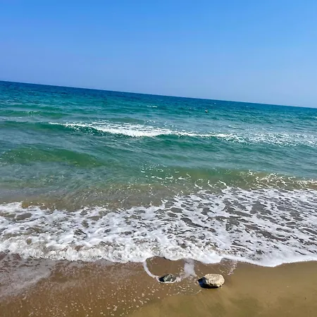 Blue Shades By The Coast *