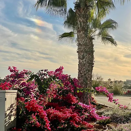 Sea View By The Coast דירה